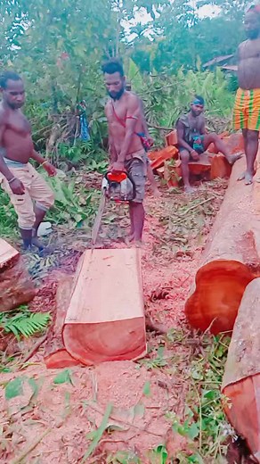 Logging Techniques: Cutting and Handling Large Logs