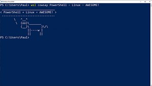 Running Linux Commands within Windows Using WSL