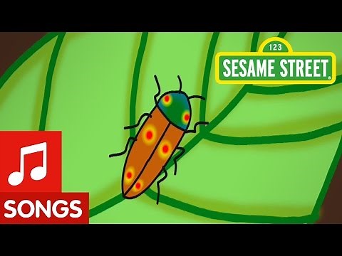 Sesame Street: A Song About Bugs!