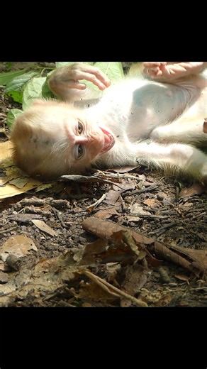 The forest echoes with the voice of a crying baby | Alien TV | Facebook