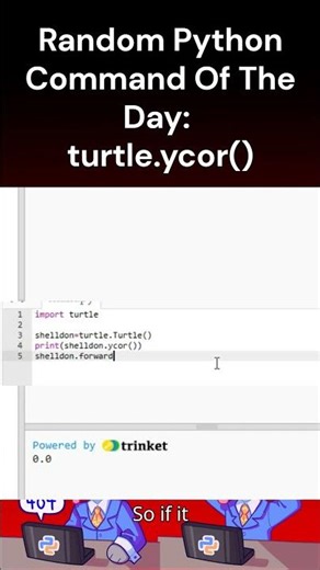 Random Python Command Of The Day, turtle.ycor() #coding #python #programming