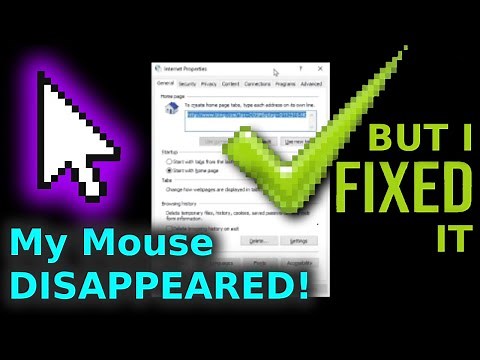 How To Fix Mouse Pointer Disappeared On Windows PC Laptop