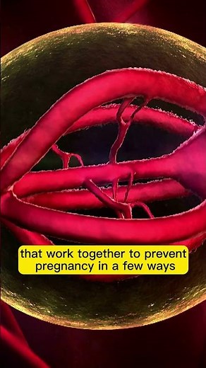 What are birth control pills and how do they work?