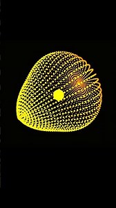 How to Make a Radial Wave Oscillation | Python full course 2025 | VPython | Creative Coding 2025