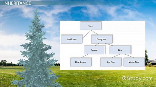 Five Basic Concepts of Object-Oriented Design