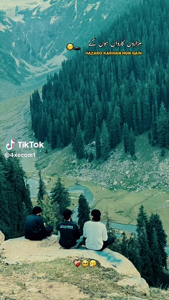 Exploring Nature's Beauty Through Vivid Imagery