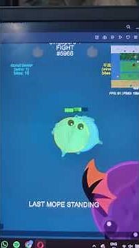 Bailey vs DonutMouse (Mope.io)