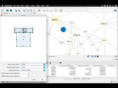 Customizing Node Labels in Cytoscape