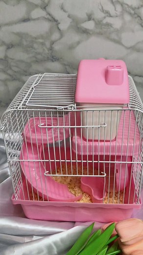Hamster Cage Ideas and DIY Set Up Guide