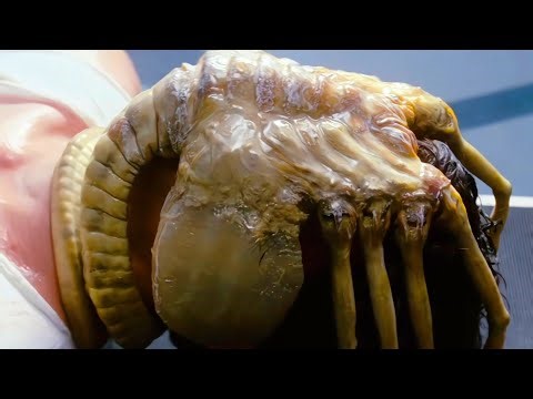 When a Distress Call Became a Death Sentence – Alien (1979) movie Recap