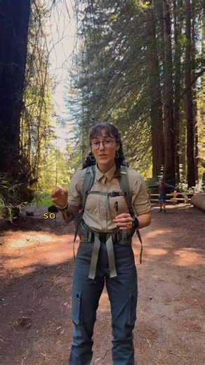 pepper | discovery & adventure on Instagram: "hiking 101... literally! in this video, i dive into how anyone, including you, yes you! can get into hiking! the outdoors is for everyone, and i never want anyone to feel intimidated by everything there is to learn/do when it comes to the great outdoors. so, lace up, and happy steppin! throwin it back! (no i did not get a new tooth yet) #hike #howto #hiking #fyp #explore #happytrails"