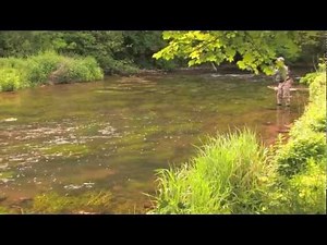 Cressbrook and Litton Flyfishers water on the Derbyshire Wye