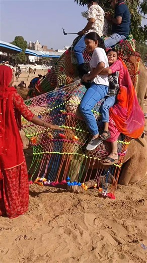 Triggered Mindset on Reels