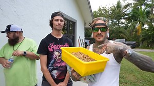 Venomous snake training gone wrong and the lesson learned