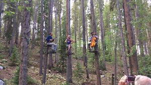 Grand Lodge on Peak 7 on Reels
