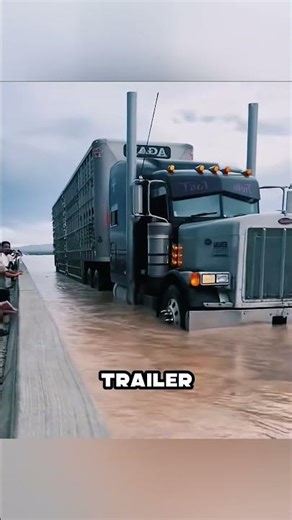 WHY SLEEP IS BANNED HERE 🤬😳🚛