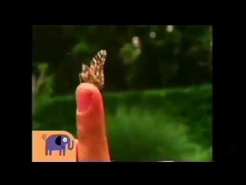 Noggin - Critter Corner: Butterfly