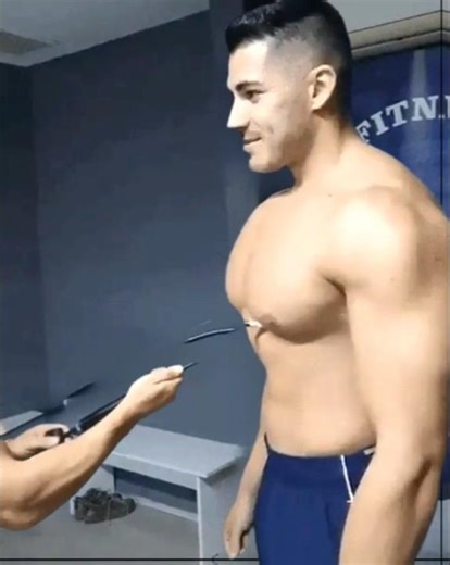 Muscle morph pecs male