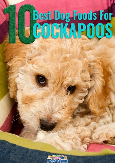10 Best Dog Food for Cockapoo: Top Picks for Your Fluffy Foodie!