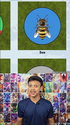 Field of View of Different Animals 👀🐶