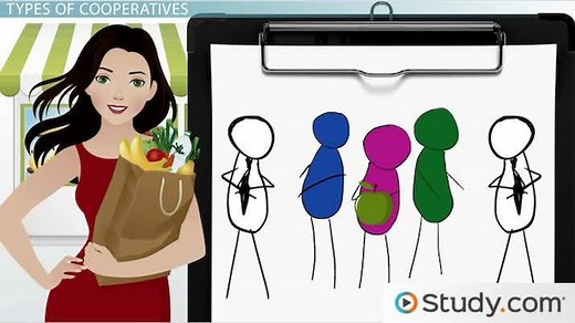 Cooperative in Business | Overview & Examples