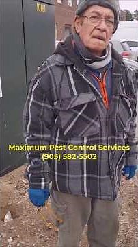 The Most Terrifying Rat Infestation We’ve Seen All Year!