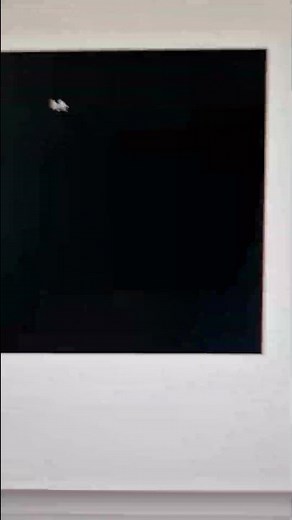 How to embed a youtube video into PowerPoint