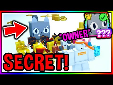 How To Get SECRET HUGE CAT PET In Pet Simulator X Roblox