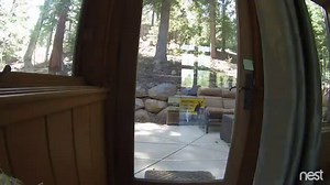 Bear Fences for Doors, Windows & More - Tahoe Bear Busters