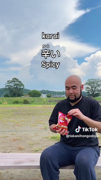 Mastering Adjectives in Japanese: Using 〜すぎる