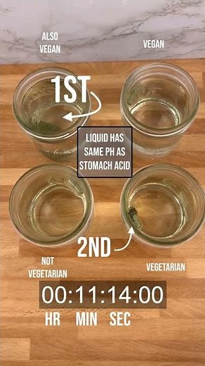 Empty Capsule Types - How Quickly Does Each Dissolve in Our Stomach?