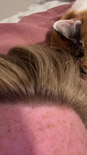 A noise only a mother could love ❤️#cattok #oldlady #fyp #calico