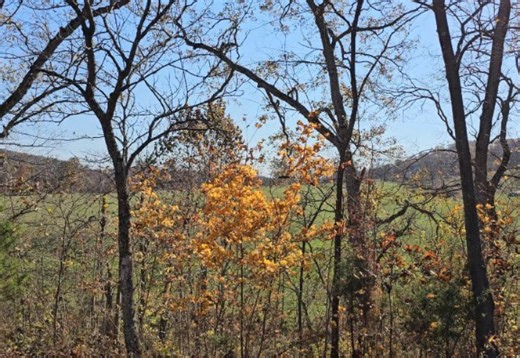 Brick House Builds on Reels