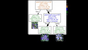 Visualiser les arbres de décision avec Python (Scikit-learn, Graphviz, Matplotlib)