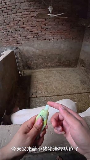 3 Ways to Raise Pigs for BIG Farmhouse Profits! 🐷💰 Want to turn pig farming into a highly profitable business? In this video, we’ll show you three powerful ways to raise pigs in a farmhouse setting and maximize your earnings. Whether you’re just starting out or already farming, these practical tips will help you boost your farm’s profitability while ensuring your pigs grow healthy and strong. We’ll cover: ✅ The best pig breeds for fast growth and high returns ✅ Feeding strategies to cut costs 