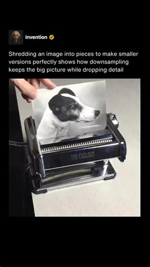 Invention on Instagram: "Shredding an image into smaller pieces is a simple and effective way to understand the idea behind downsampling. When an image is physically cut apart and each small section is viewed on its own, the fine details disappear while the broader shapes and colors remain. This mirrors what happens digitally when an image is reduced in resolution. The computer keeps the essential structure but removes the smaller patterns that the human eye is less likely to notice at a smaller