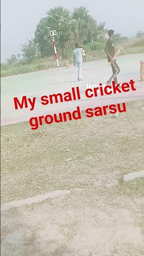 my small cricket ground