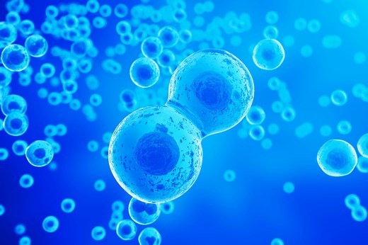 Single cell RNA-seq: An introductory overview and tools for getting started | 10x Genomics