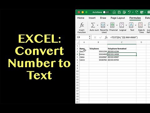 Excel: How to convert a number to text using the TEXT() function