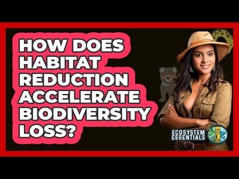 How Does Habitat Reduction Accelerate Biodiversity Loss?