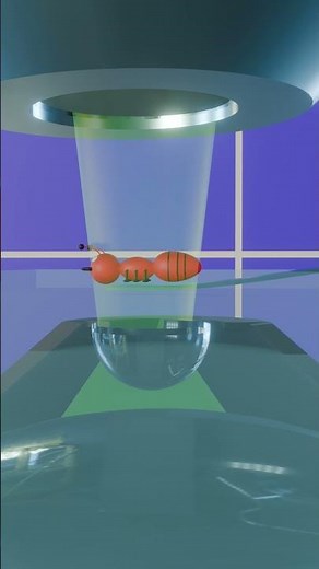 Working principle of the compound microscope in 3d animation. #microscope #optics #physics #light