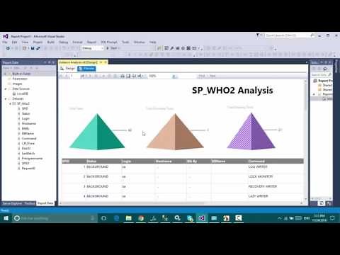 SQL Server Management Studio - Custom Reports