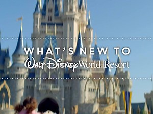 Take a look at what's new to Walt Disney World! Discover new experiences and create unforgettable memories across all 6 Parks!http://di.sn/60018eNxB | Walt Disney World