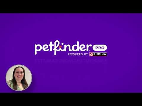 Learn How to Get the Most Out of Petfinder Pro
