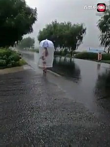 59K views · 28 reactions | Funny Animated GIF on Reels | Facebook