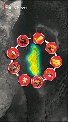 Why Is Madagascar So Unique? 🌍🔥 #shorts @factsfeve