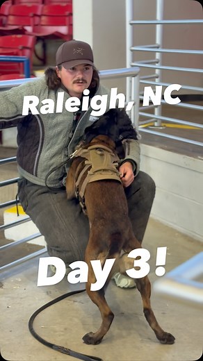 2K views · 130 reactions | Day 3 and the momentum hasn’t slowed down. Handlers are learning, dogs are responding, and the standard keeps rising. Proud of these teams and grateful for the opportunity to pour into them. Let’s close this week out strong.  | K9s United | Facebook