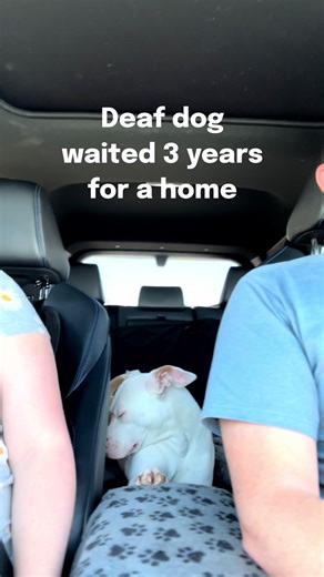 Empowering Support for Unstoppable Missions