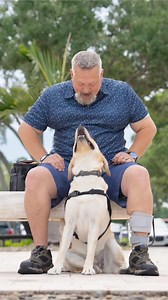 7K views · 262 reactions | Service dogs are more than companions—they are lifelines. Bringing hope and independence to those who need them, they form unbreakable bonds of trust  | Dogs Inc | Facebook