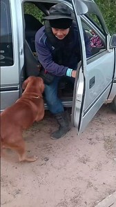 This Dog Really Wants to Go Too! 😂🐶 | Loyal Dog Moment #pitbull #cutedogs #countrybeauty